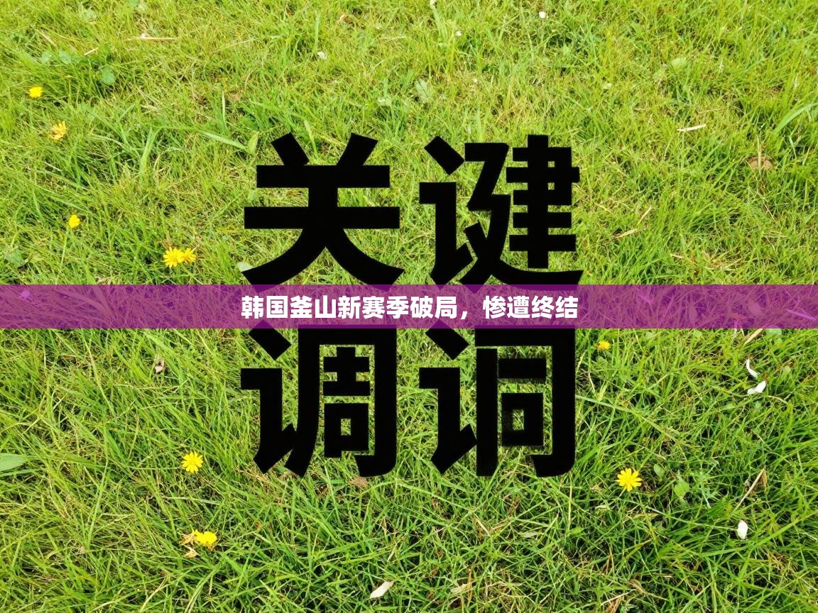 韩国釜山新赛季破局，惨遭终结  第1张