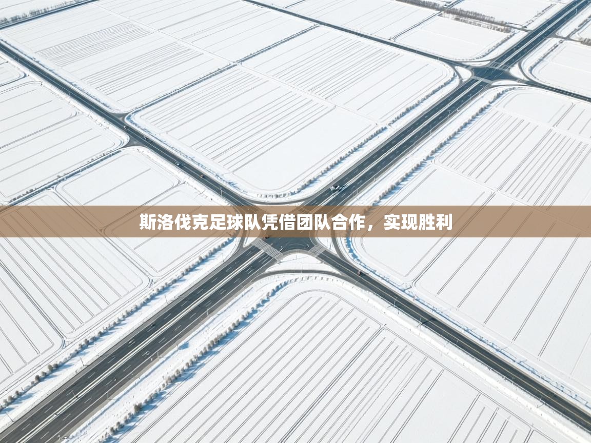 斯洛伐克足球队凭借团队合作，实现胜利  第1张