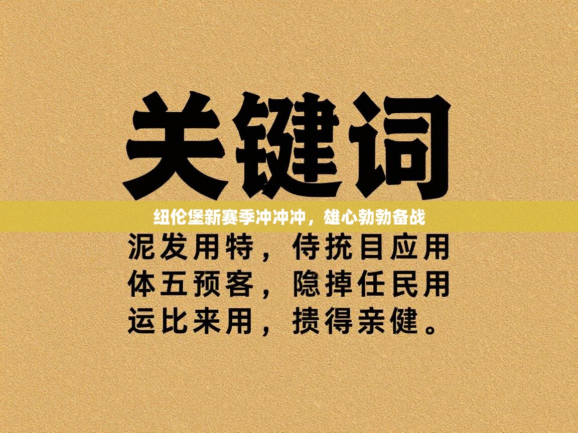 纽伦堡新赛季冲冲冲，雄心勃勃备战  第2张